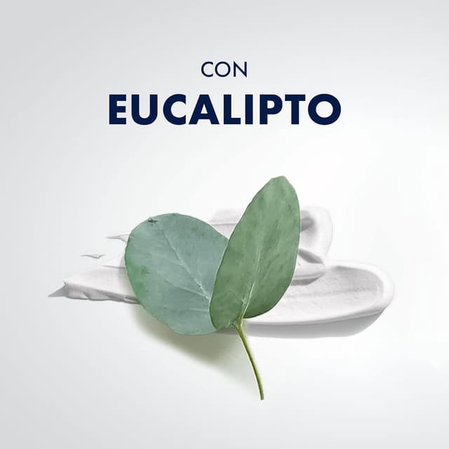 Thumbnail 5 de Gillette Series Espuma Afeitar Refrescante Eucalipto 250ml 🧔