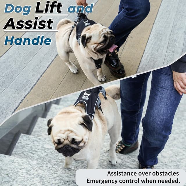 Thumbnail 3 de Wuffley Escape Proof Dog Harness and Leash Set