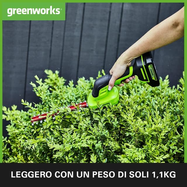 Thumbnail 3 de Greenworks G24SHT decespugliatore 2-in-1 24V