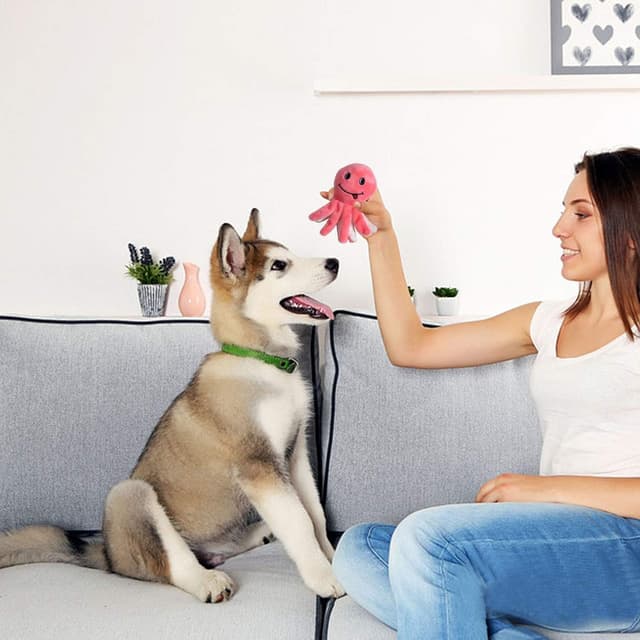 Thumbnail 6 de LEGEND SANDY squeaky plush dog toys pack