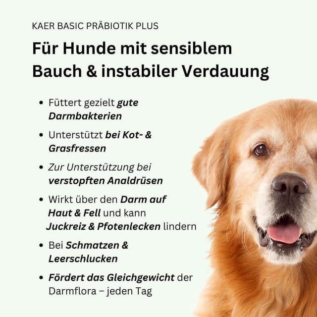 Detalle de kaer basic Präbiotik Plus Pulver für Hunde (2×200 g) – Probiotika-Unterstützung für die Darmflora