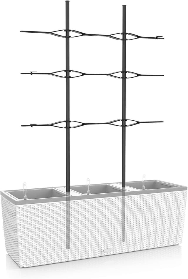 Detalle de Lechuza Trio Cottage 30 Rankgitter