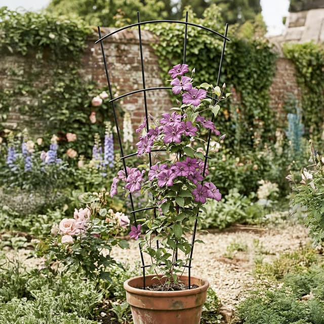 Detalle 2 de Thealyn 4 Pack 60cm (24") Metal Plant Trellis for Pots & Garden Beds
