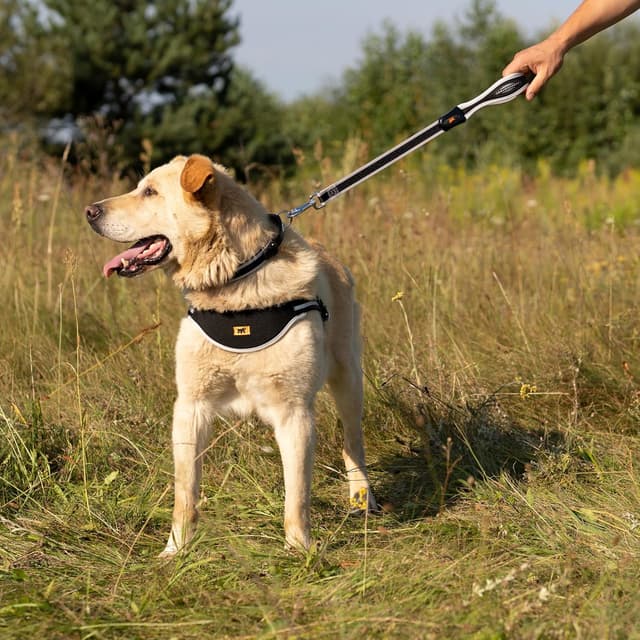 Detalle de Ferplast ERGOCOMFORT Laisse courte 55 cm 🐕
