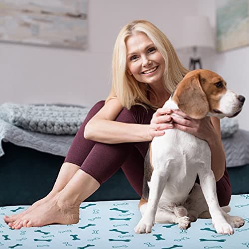 Thumbnail 1 de Paw Jamboree tapis absorbant chien 75x89 cm ⚙