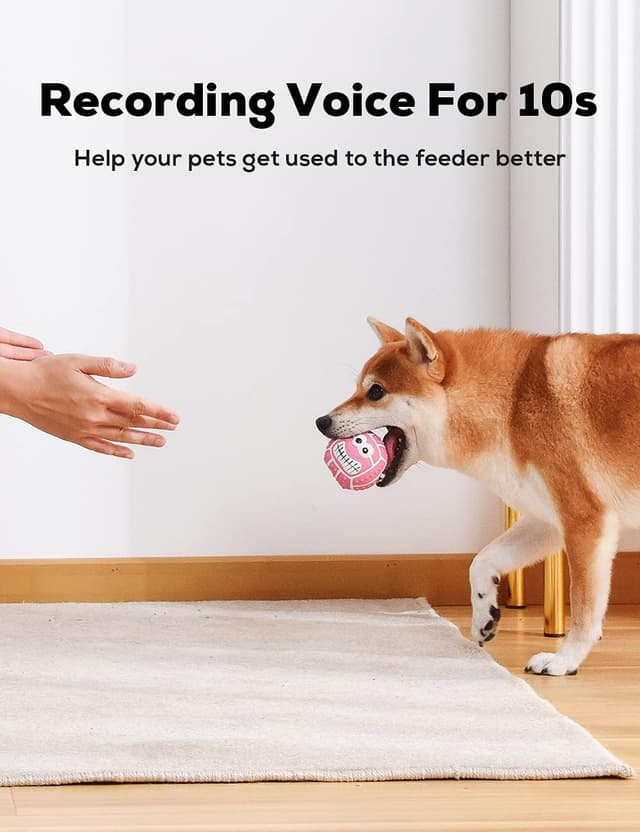 Thumbnail 3 de TONGKTAI 4 Pezzi set 2,7" per cani