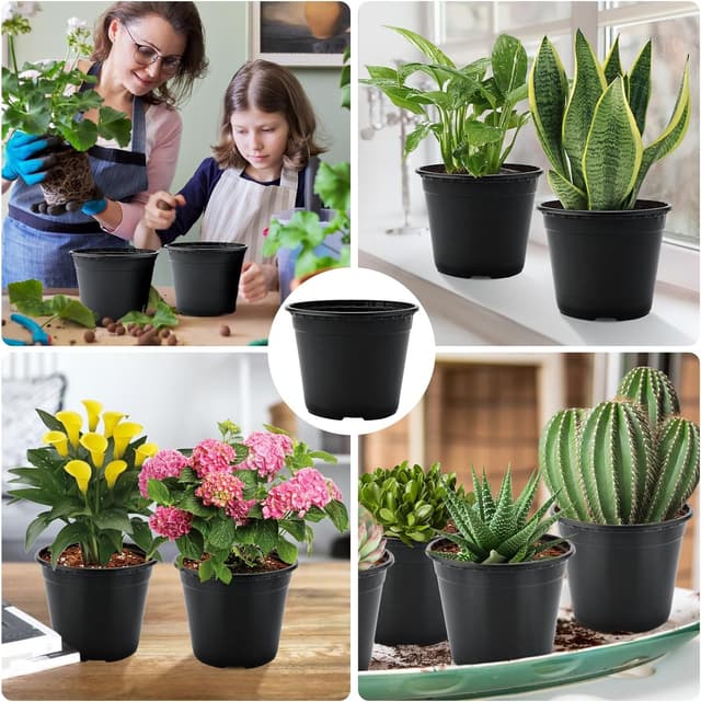 Detalle de KINGLAKE seedling pots 15 cm, 50 pack