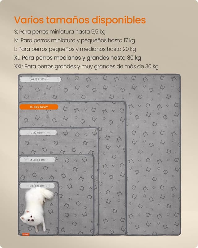 Thumbnail 5 de Feandrea Alfombrilla Absorbente Lavable 152 x 122 cm