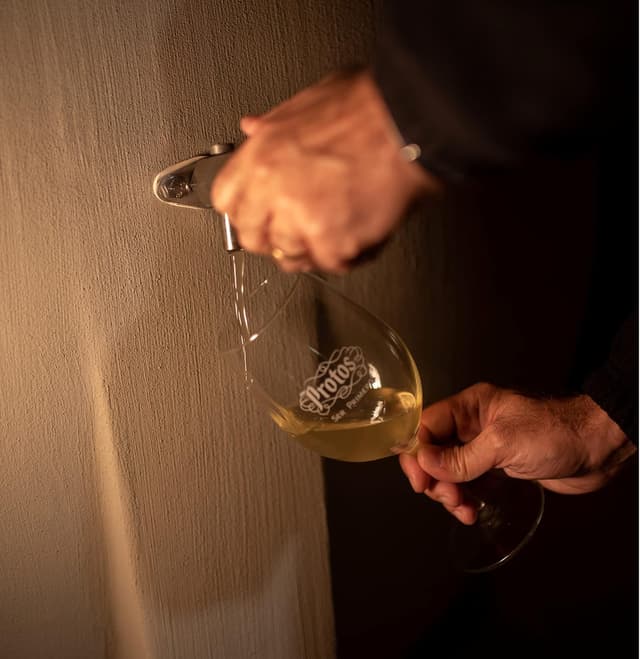 Thumbnail 6 de Protos Verdejo Cuvée 🍷 Vino Blanco Ecológico Rueda 750ml