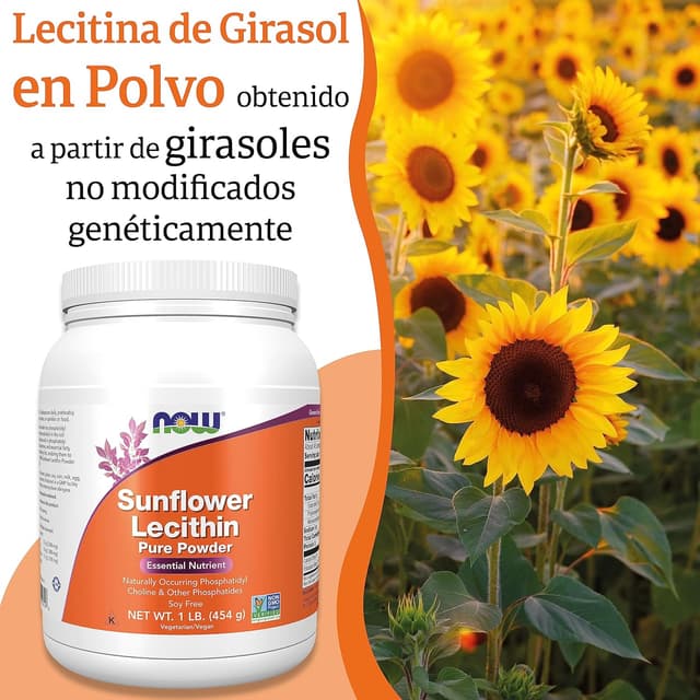 Thumbnail 1 de Now Foods Sunflower Lecithin 🌻 - Puro Vegano 454g Libre de Gluten