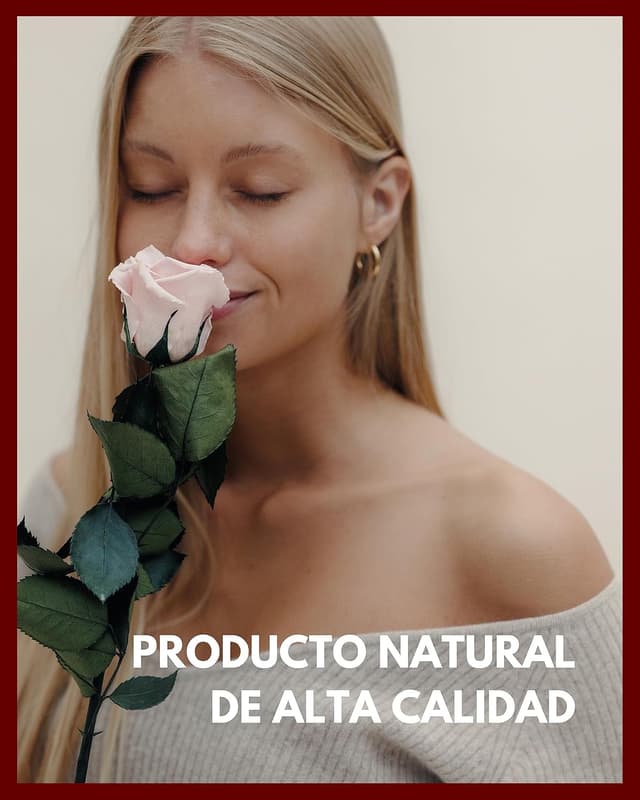 Thumbnail 1 de Mia Milano Infinity Rose Rosa en Caja de Regalo 🌹