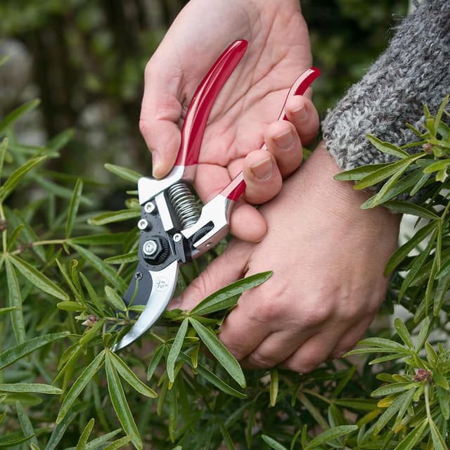 Thumbnail 1 de Spear & Jackson 6160BS Razorsharp Baumschere