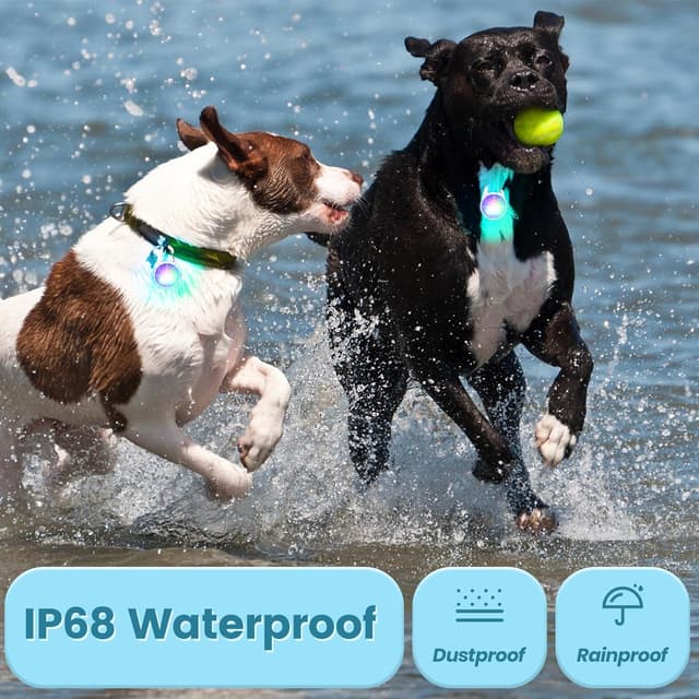 Thumbnail 4 de Hund Lichter 2er-Pack 80LM für Nachtspaziergang