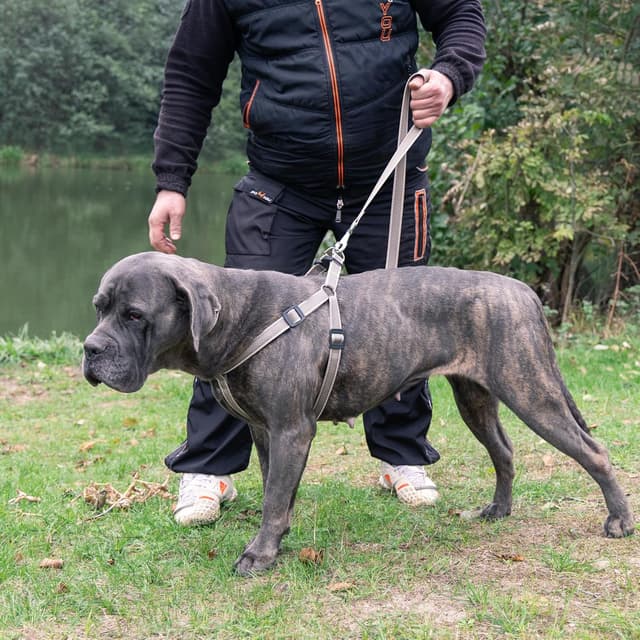 Detalle de Ferplast Pettorina Cane DAYTONA DELUXE in nylon imbottito taglia grande, regolabile e riflettente Marrone-Nero