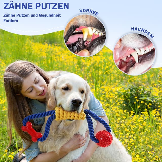 Detalle 2 de Aitmexcn Hundespielzeug Seil (43 cm) aus Baumwolle – Zerrspielzeug für kleine bis mittelgroße Hunde