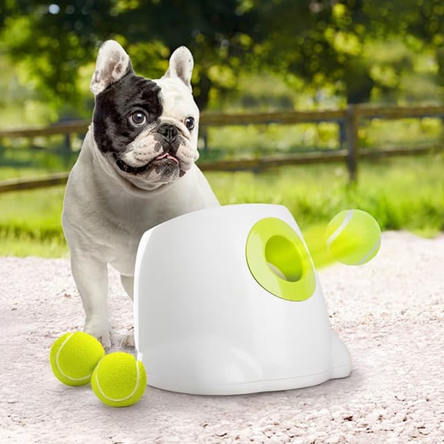 Imagen de ALL FOR PAWS Automatic Dog Ball Launcher 2" en OfertitasTOP