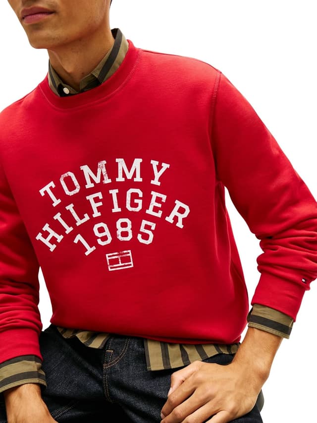Detalle de Tommy Hilfiger men’s Hilfiger Arch sweatshirt (MW0MW41426) pullover