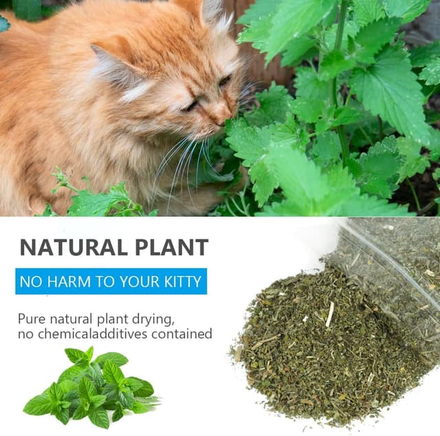 Detalle de OSDUE Katzenminze 100 g mit SĂ€ckchen đ±