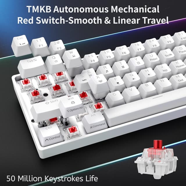 Thumbnail 2 de Dierya DK61se tastiera meccanica 61 tasti