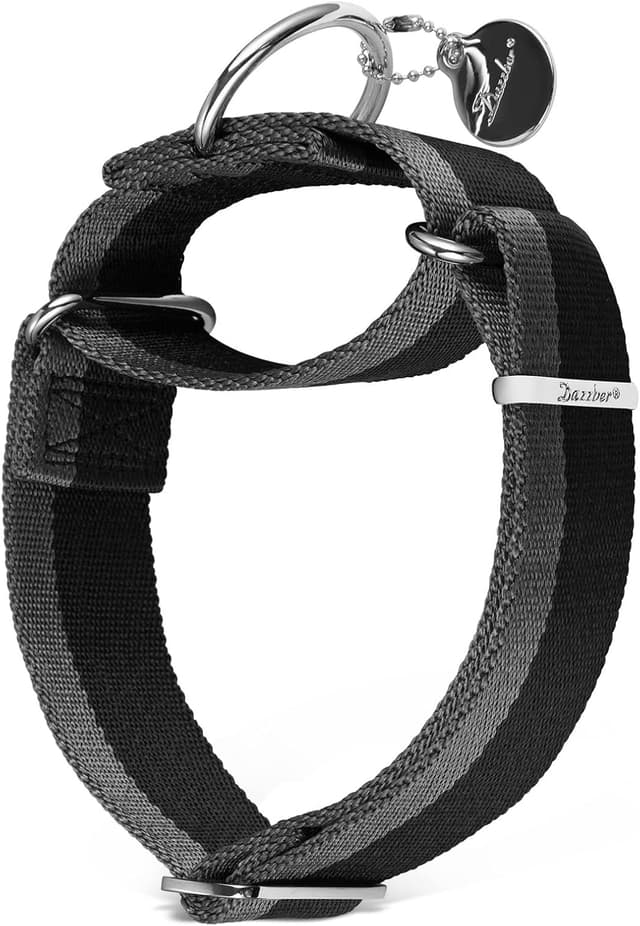 Detalle 2 de Dazzber Martingale Collar (Extra Strong Nylon, 1 1/2 Inch Wide) for Medium to XLarge Dogs – Purplish Red & Grey