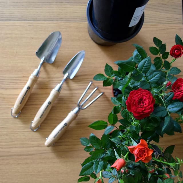 Detalle de Spear & Jackson POTTING3PS : ensemble de 3 mini-outils de rempotage en acier inoxydable pour plantes d’intérieur