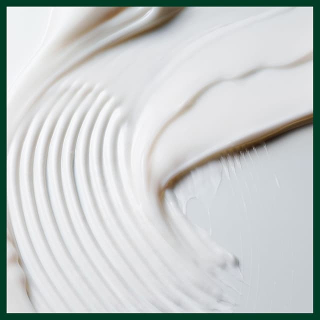 Thumbnail 6 de Aveda Scalp Solutions Masque Hydratant