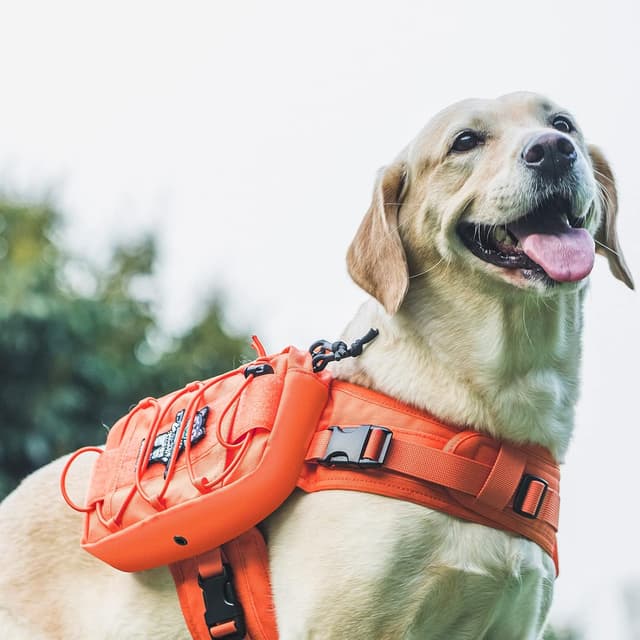 Detalle de OneTigris Mammoth Dog Backpack 2.0 (Orange) for M/L dogs