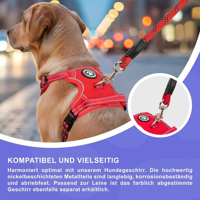 Detalle de Reichstadt Pets Guinzaglio in nylon morbido con impugnatura in EVA e moschettone girevole, riflettente, 1,5 m (25RSP084) – Rosso