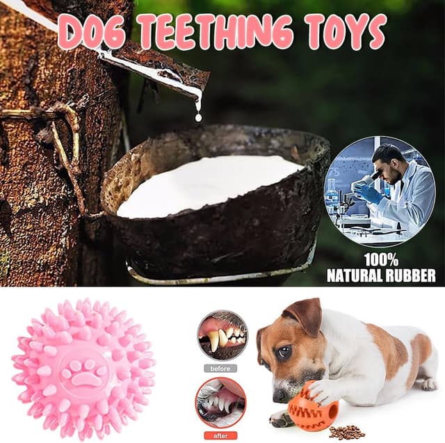 Thumbnail 4 de Hundespielzeug 10er Set Quietschend