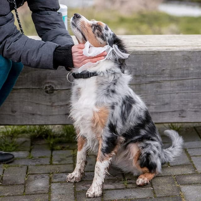 Detalle 1 de Nobby Universal Reinigungstuch Spenderdose (50 Stück) – für Fell, Pfoten und Haut