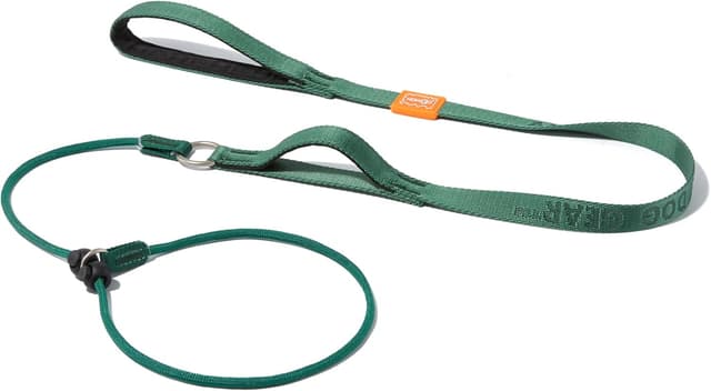 Detalle de HOWGO padded slip lead dog leash (training no-pull), green, 5ft