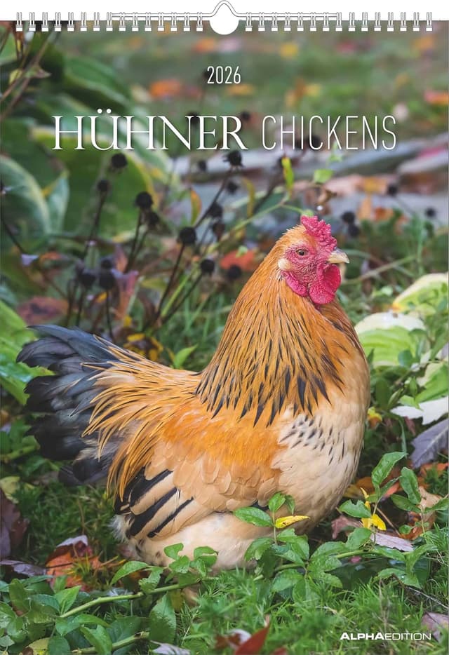 Imagen de Alpha Edition Hühner 2026 Wandkalender A3 en OfertitasTOP