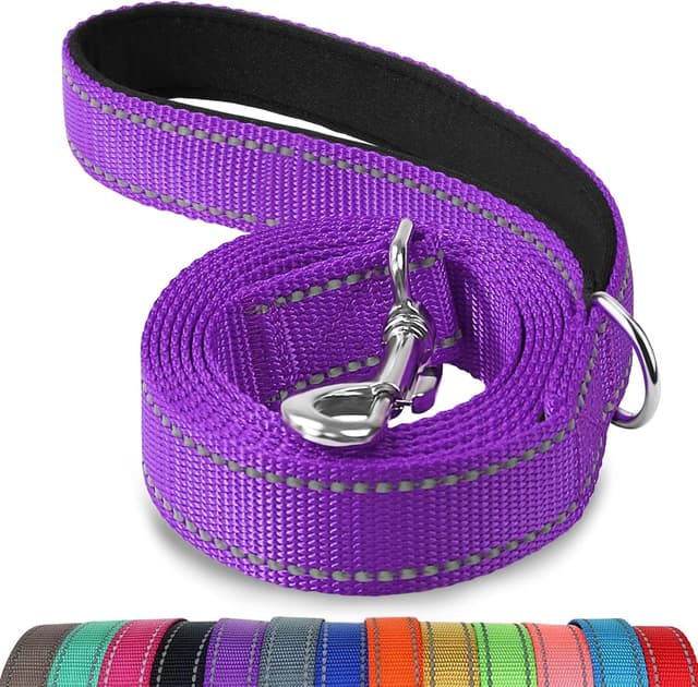Thumbnail 6 de Joytale reflective dog leash 5 ft