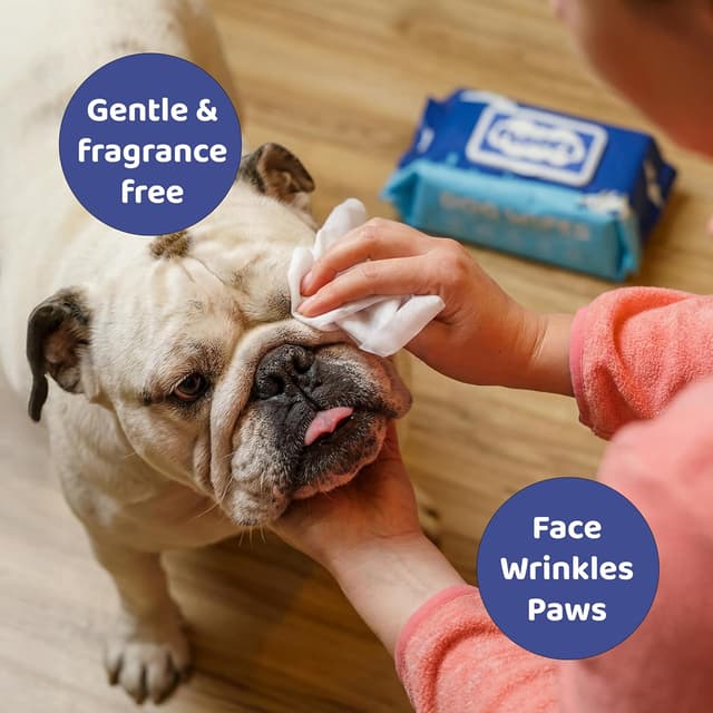 Detalle 2 de Floofs Antibacterial Dog Wipes 100 Pack