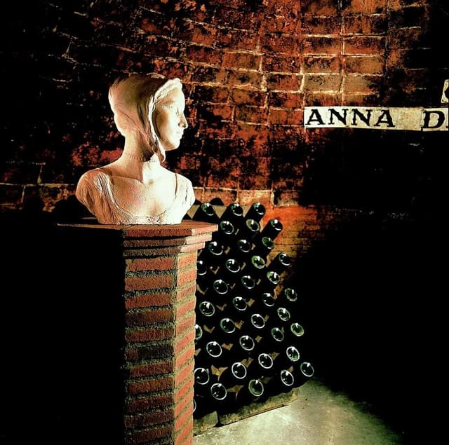 Thumbnail 5 de Anna de Codorníu Blanc de Noirs 75cl - Cava 🍾