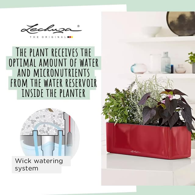 Thumbnail 2 de LECHUZA CUBE Glossy Triple 13,5x40x14 cm