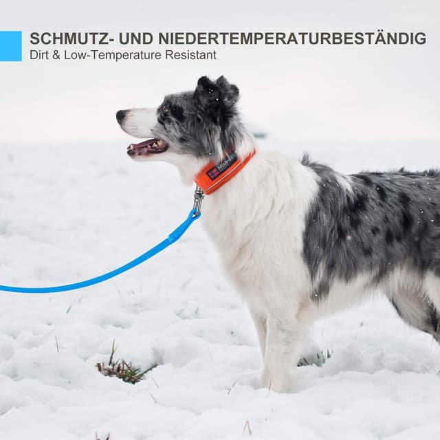 Detalle de Toozey Wasserdicht Schleppleine für Hunde (5–20 m) – robuste Trainingsleine mit Handschlaufe, Karabiner und wetterfester Ausführung in Blau