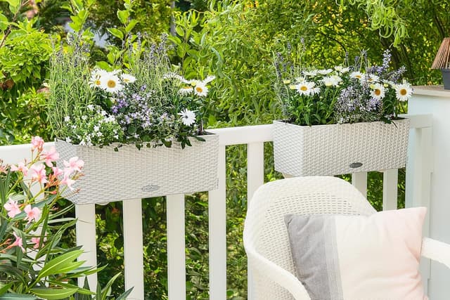 Thumbnail 6 de LECHUZA Balconera Cottage 50 bianco 15600 fioriera