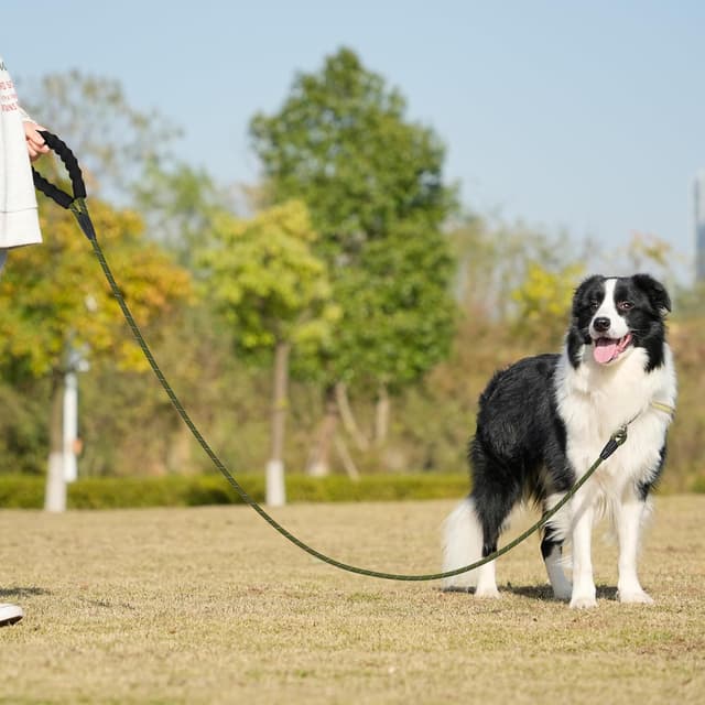 Detalle 2 de Kdsvakd Training Lead for Dogs (1.5m / 5ft) with Carabiner Clip and Padded Handle, Reflective Rope Leash – Army Green