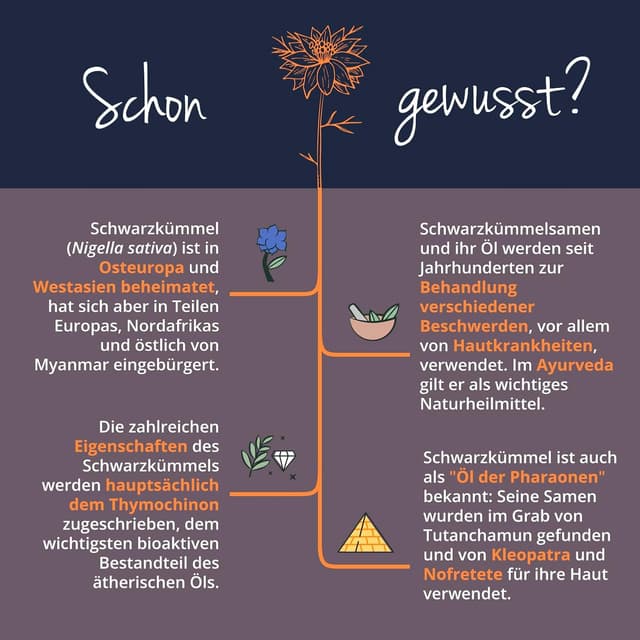 Thumbnail 5 de Vegavero Bio Schwarzkümmelöl Kapseln 1000 mg