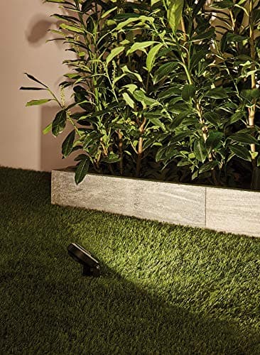 Thumbnail 6 de Paulmann 93934 Foco Plug & Shine 6W 3000K 100°