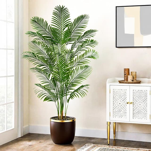 Thumbnail 1 de Palmier Arnusa 180cm en pot