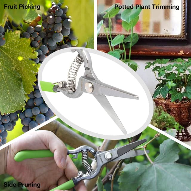 Detalle de WORKPRO 2-Piece 200 mm Pruning Shears Set (200 mm pruning shears + 200 mm grape shears)