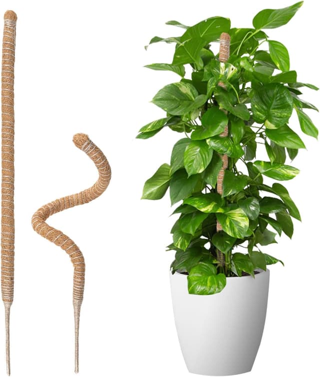 Imagen de Wigearss Tutor de Coco 70 cm para plantas trepadoras en OfertitasTOP