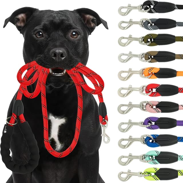 Detalle de Reichstadt Pets Guinzaglio in nylon morbido con impugnatura in EVA e moschettone girevole, riflettente, 1,5 m (25RSP084) – Rosso