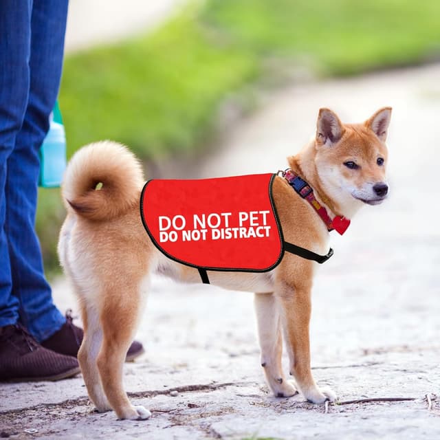 Detalle de Do Not Pet Do Not Distract Dog Jacket Vest (PET DISTRACT L) – Service/Working Dog Warning Slogan Vest