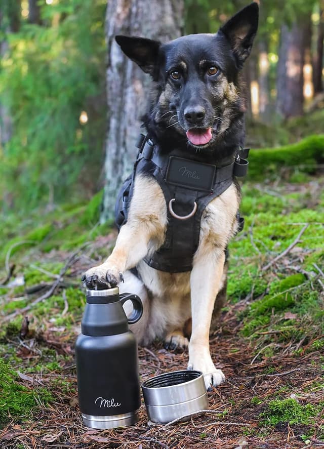 Thumbnail 5 de Milu Trinkflasche Hunde 950 ml 🚶