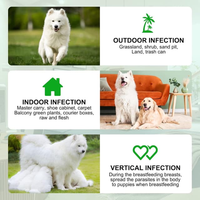 Thumbnail 3 de Natural Prevention for Dogs 150 soft chews