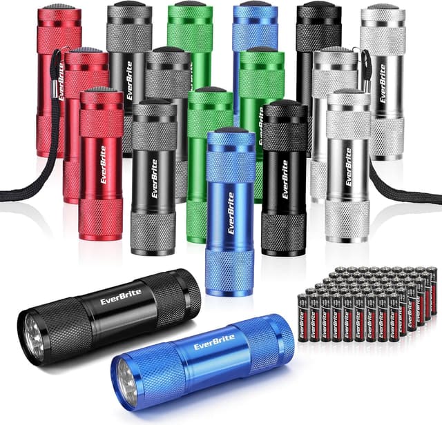 Detalle de EverBrite 18-Pack LED Mini Pocket Torch keyring lights 🔦