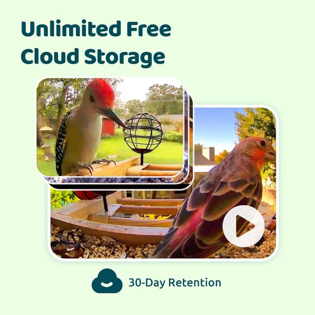 Detalle 2 de NETVUE Vogelfutterhaus mit Kamera WLAN